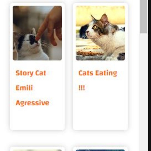 Catsyaspain Screen 3