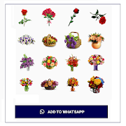 Flower Stickers (WAStickerApps)