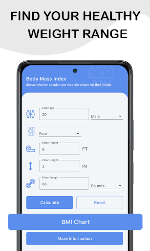 BMI & Body Fat Calculator Screen 3