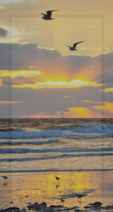 Sunrise in the Beach Wallpaper