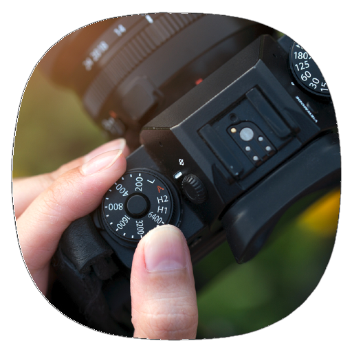 Digital Photography Lessons logo