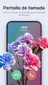 Imagen de la captura de pantalla