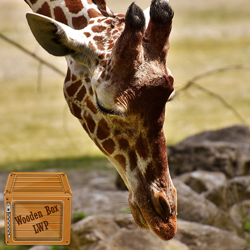 beautiful animal wallpaper logo