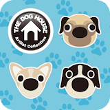 THE DOG-Cute Icon & WP icon