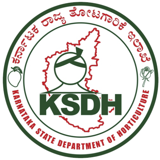 HASIRU logo