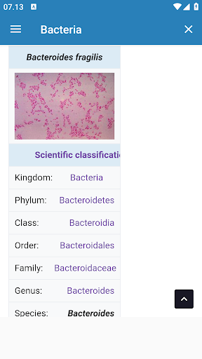 Bacteria Screen 3