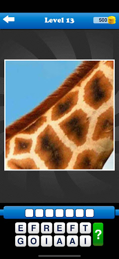 Guess the Close Up Pics Quiz