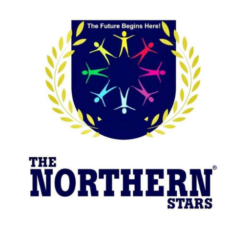 TNS E-SCHOOL logo