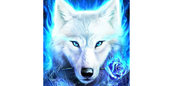 Wolf Wallpapers Hd – Apps On Google Play