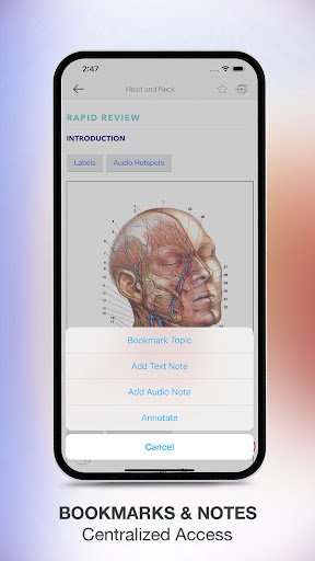 Screenshot of Rapid Review Anatomy Guide