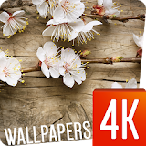 Spring wallpapers 4k icon