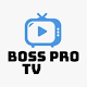 Boss pro Windowsでダウンロード