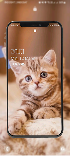 Cute Kitten Wallpapers Offline Screen 3
