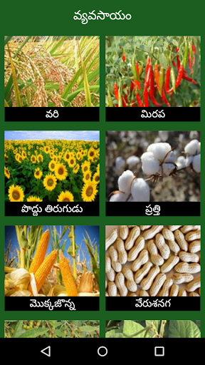 Vyavasayam Telugu Agriculture Screen 2