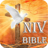 NIV Bible-Study icon