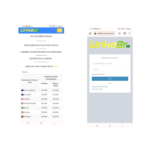 Encurtador LinkeBr Screen 2