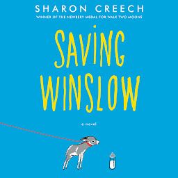 Icon image Saving Winslow