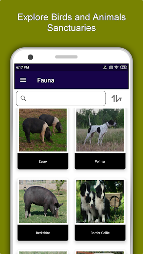 Somerset Travel  Explore, Off