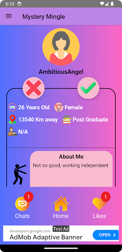 Mystery Mingle Screen 2