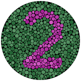 Color Blindness Test icon
