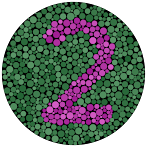 Color Blindness Test