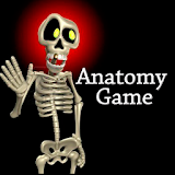 Anatomy Game icon