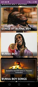 BURNA BOY SONGS
