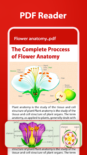 Document Reader All File View