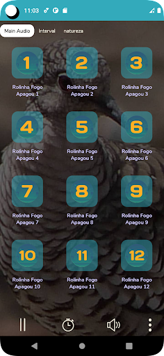 Rolinha Fogo Apagou Cantando Screen 2