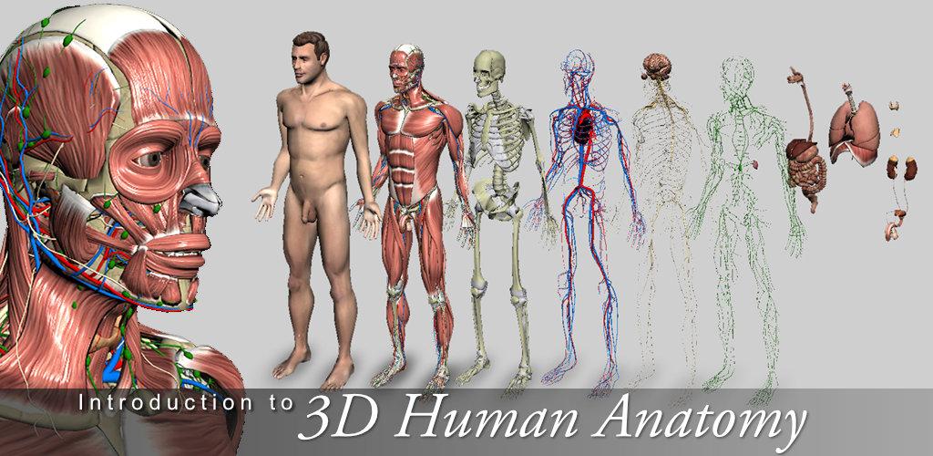 3д анатомия человека изучить. Анатомия человека стенд. Анатомия человека 2.0. Креатинкиназа хуман. 0 human