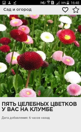 Сад и огород