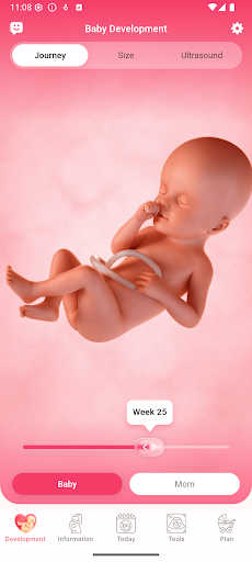 Pregnancy Tracker App The Bump