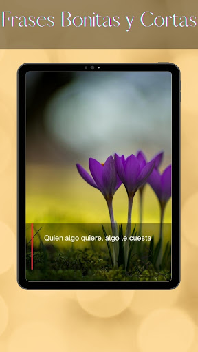 Frases Bonitas y Cortas