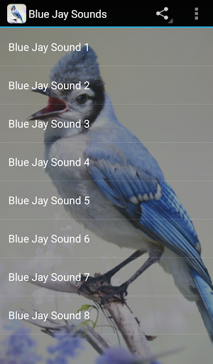 Android application Blue Jay Sounds screenshort