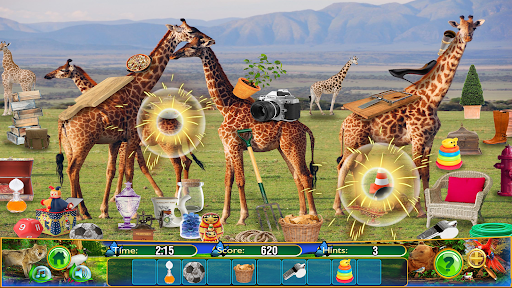 Hidden Objects Animal Puzzle
