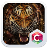 Wild Tiger Big Cats Animal Theme icon