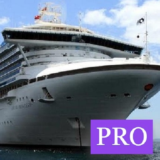 MEO Class IV QA Pro logo
