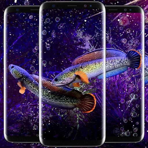 Channa Fish Wallpapers logo