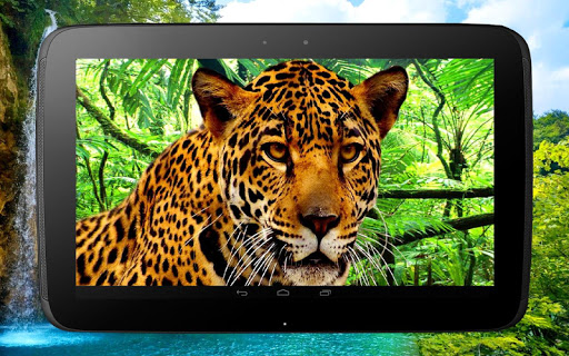 3d Wallpaper For Android Animal Image Num 77