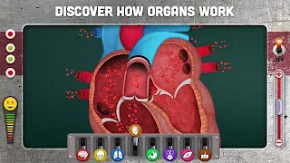 How does The Human Body Work? - Screenshot 3