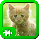 Puzzles: Kittens icon