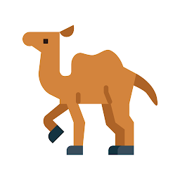 Camel Memory