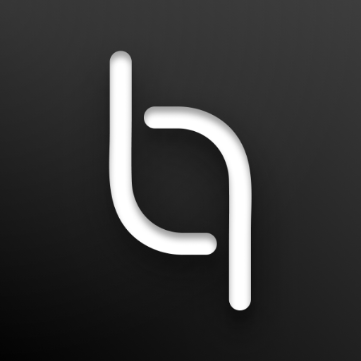 bioniq  Icon