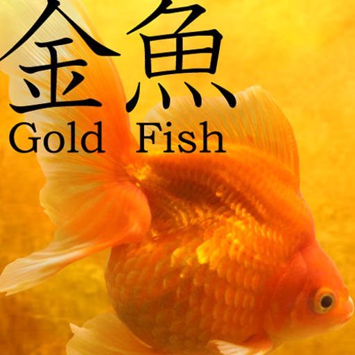 gold fish animated wallpaper