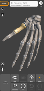 3D Anatomy for the Artist Mod Apk 5