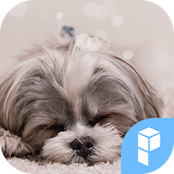 Cutie Puppy Icon Widgetpack icon