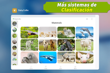 Captura de Pantalla 11 Animal Mágico: ¡180 Sonidos de android