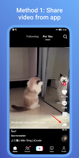 Android application SaveTik: TK Video Downloader screenshort