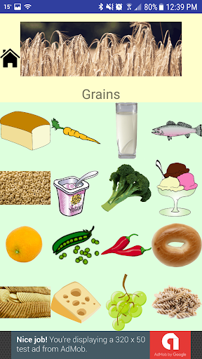 Food Group Sorting for Kids Screen 3