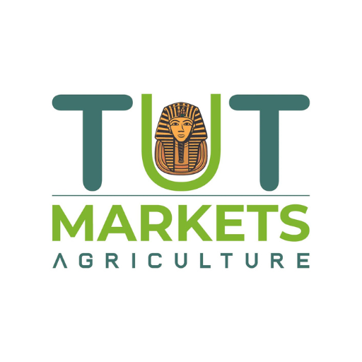 Tut Markets Download on Windows
